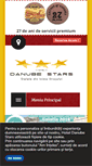 Mobile Screenshot of hoteldanubestars.ro